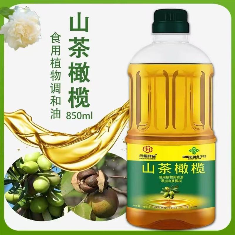 山茶橄榄油