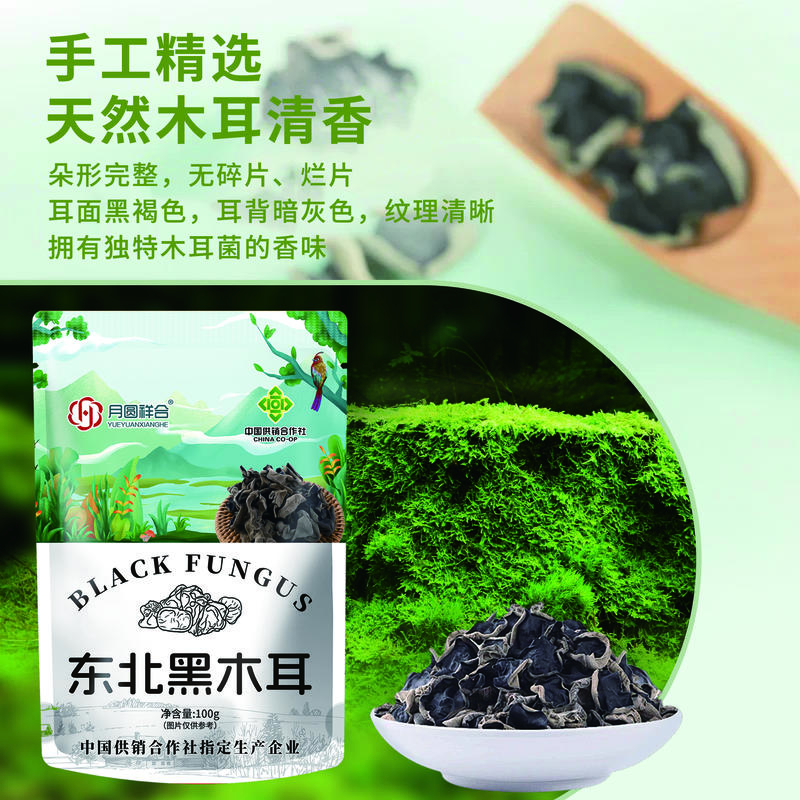 东北黑木耳