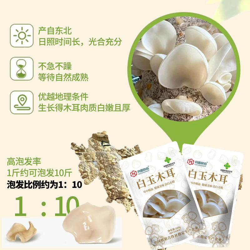 白玉木耳