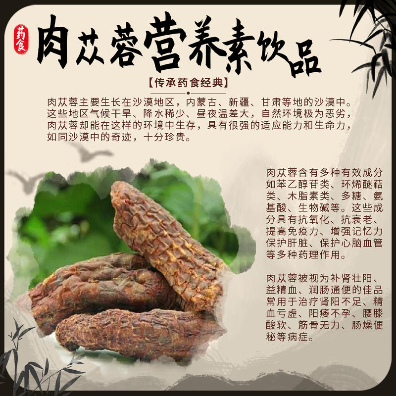 蓉源动力