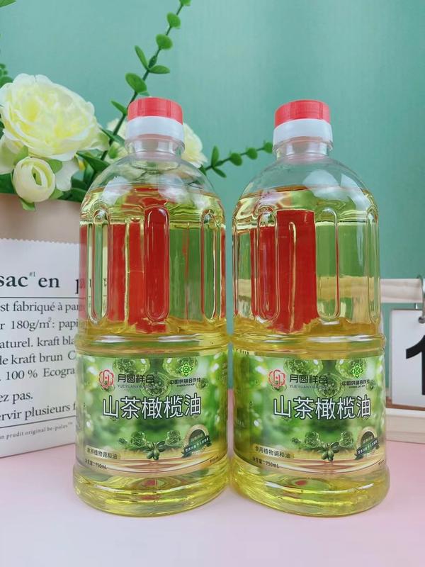山茶橄榄油