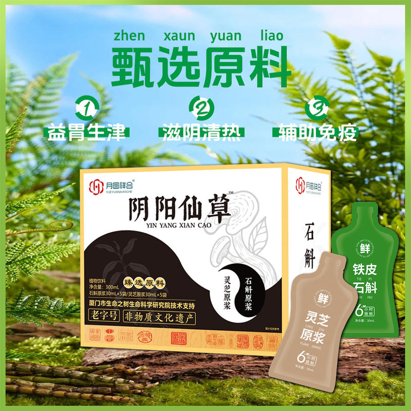 阴阳仙草